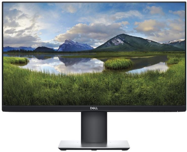 24" TFT Dell P2421