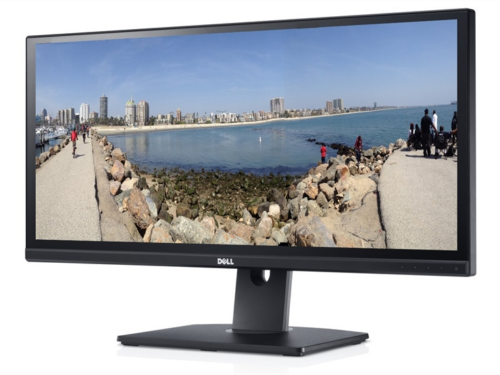 29" TFT Dell U2913WM "A-"